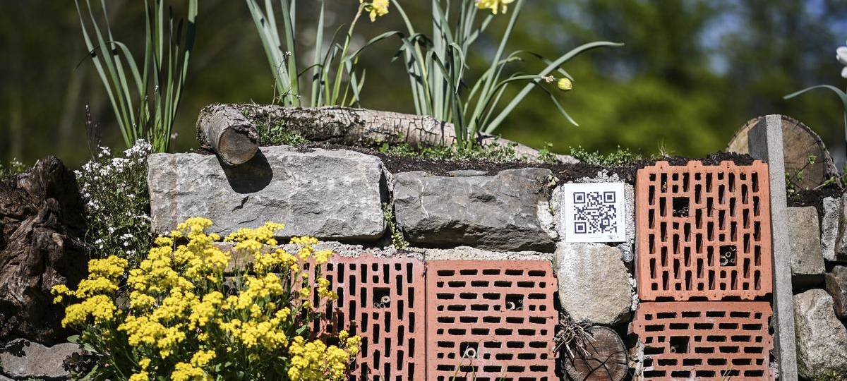 "Hünxe summt" hat Chance auf den deutschen Engagementpreis