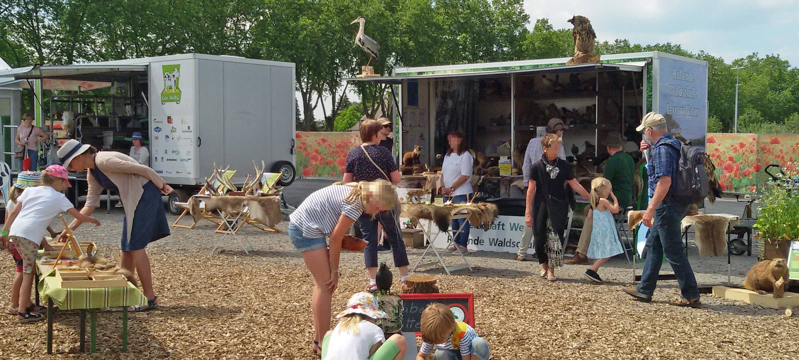 Moerser Umwelttag lockt am Sonntag mit vollem Programm