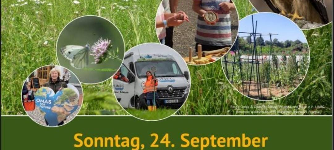 Moerser Umwelttag lockt am Sonntag mit vollem Programm