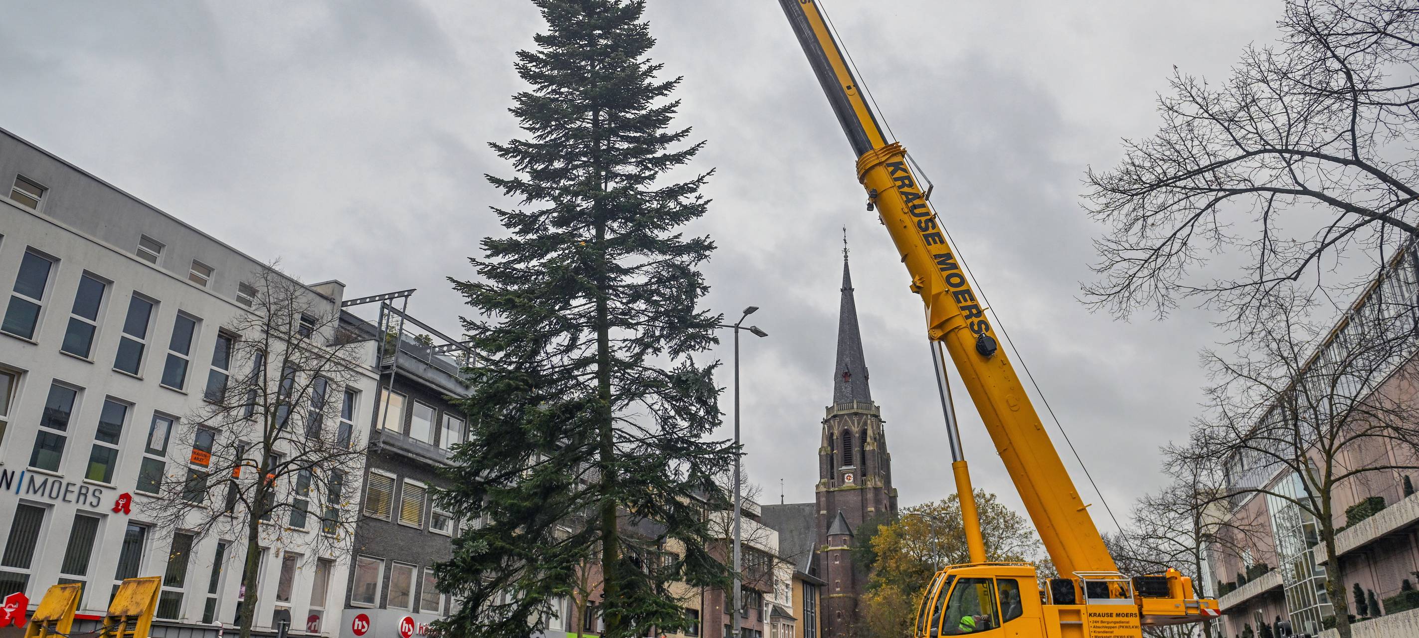 In Moers steht jetzt ein großer Weihnachtsbaum auf dem Neumarkt