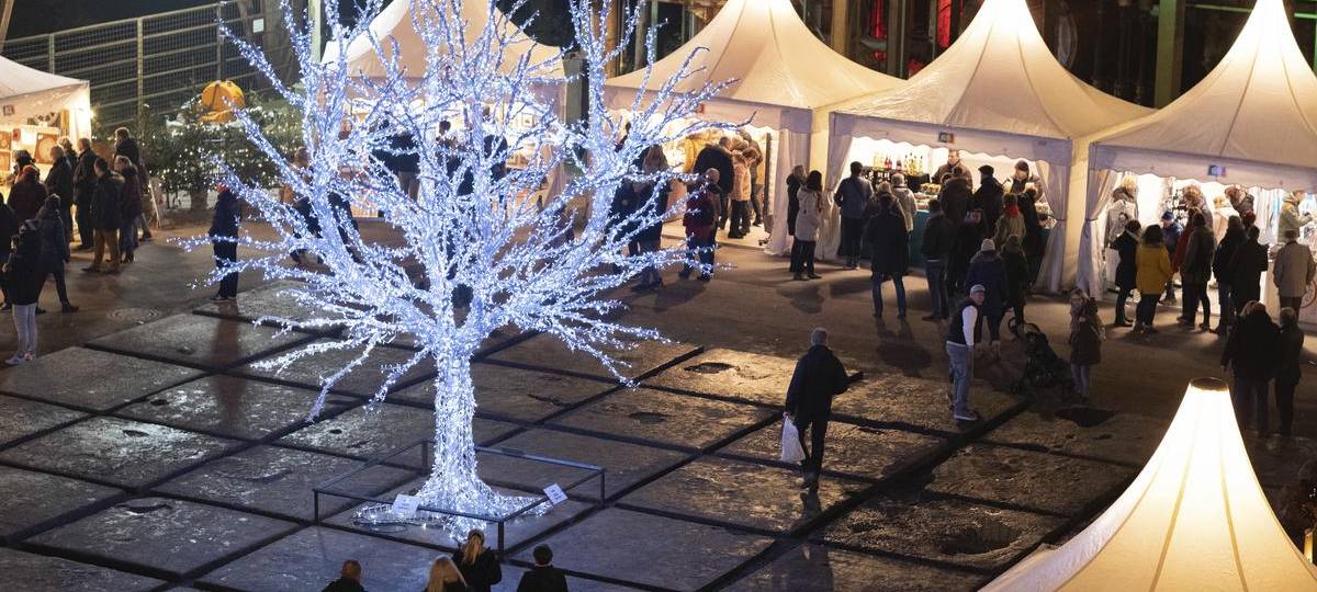Rekordversuch: Größtes Stofftier soll in Duisburg stehen