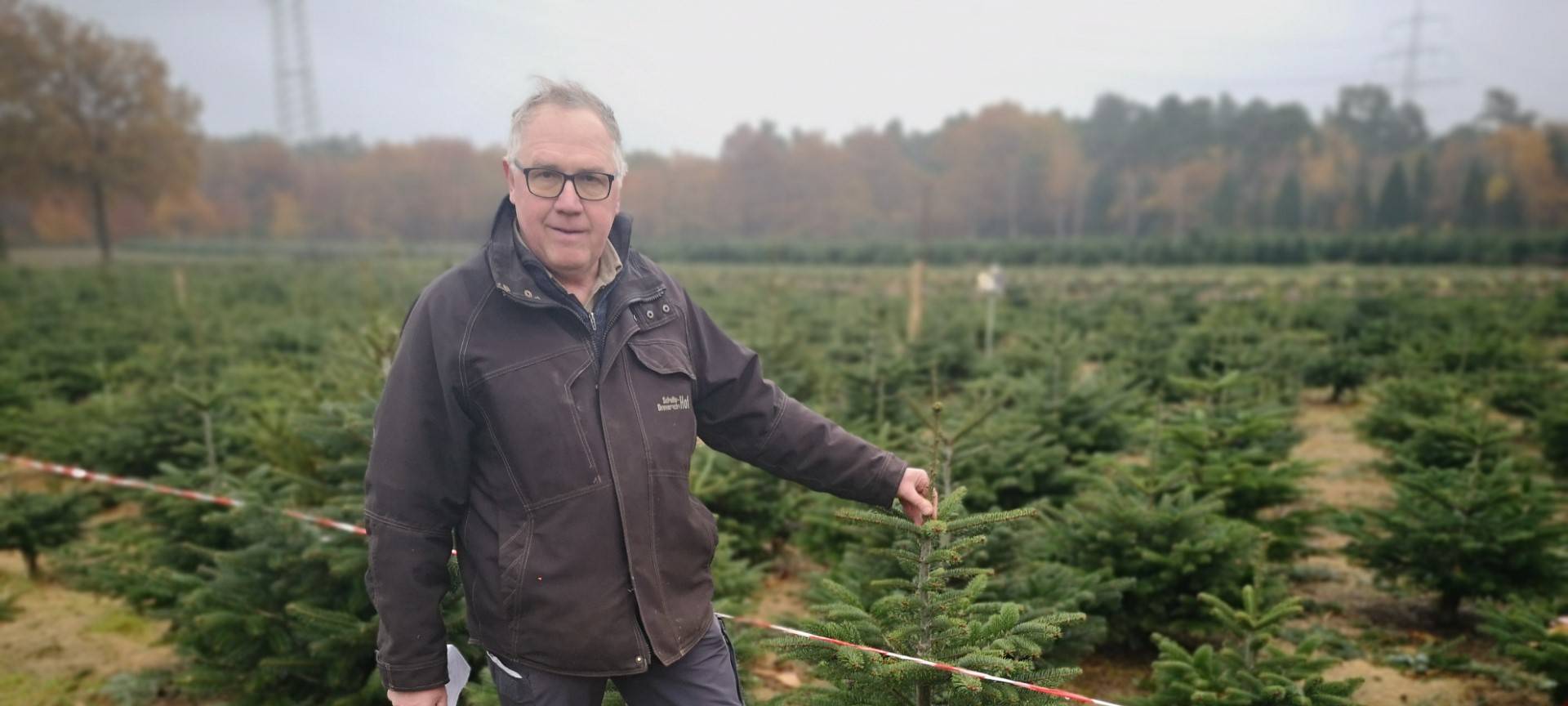 Kreis Wesel: Weihnachtsbaum-Saison beginnt