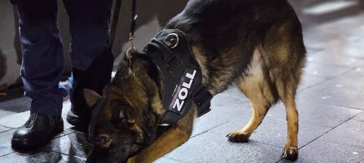 Zoll stellt mehr als 170 Kilo Drogen sicher