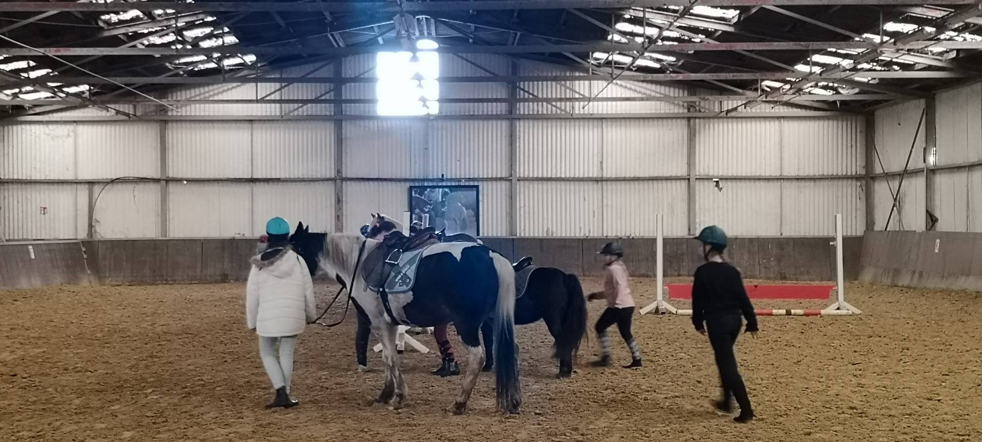 Therapeutisches Reiten bei Erdtmann in Neukirchen-Vluyn