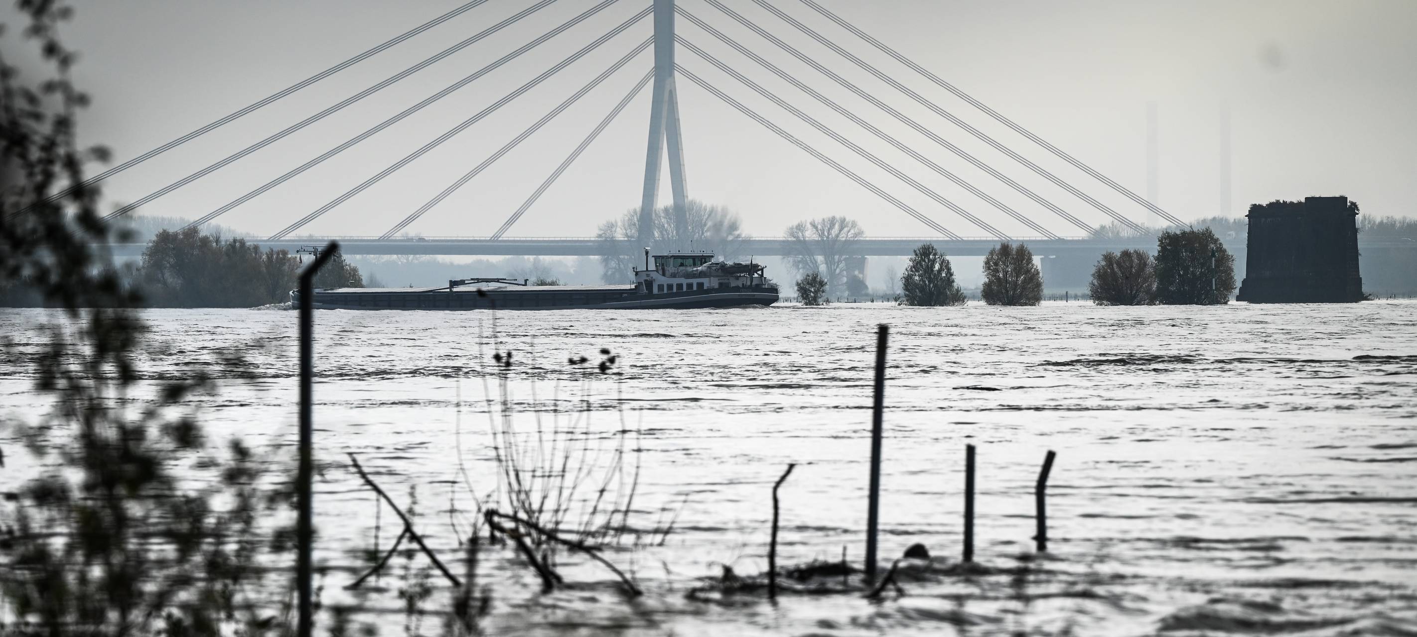 Erstes kleines Hochwasser: Weseler Rheinpegel erreicht aktuellen Höhepunkt