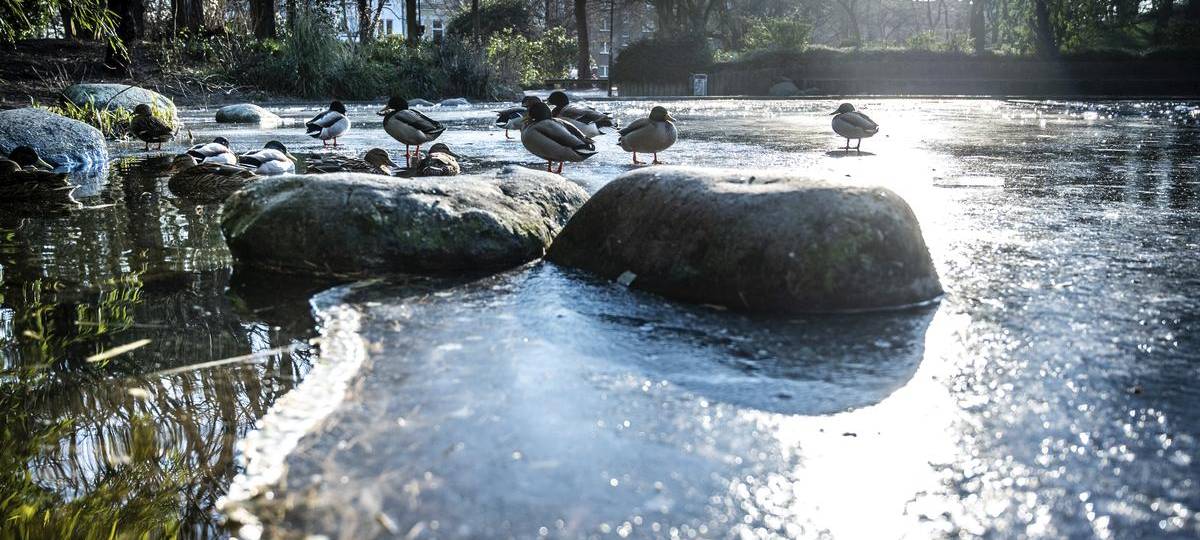 DLRG warnt vor Betreten der ersten Eisschichten im Kreis