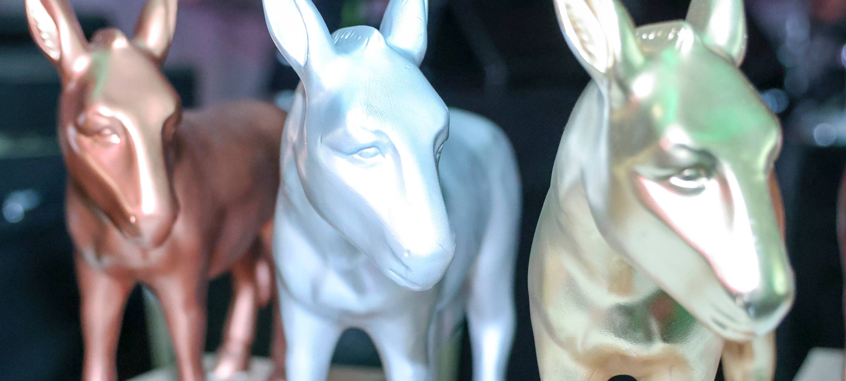 Wesel zeichnet die Sportler des Jahres aus