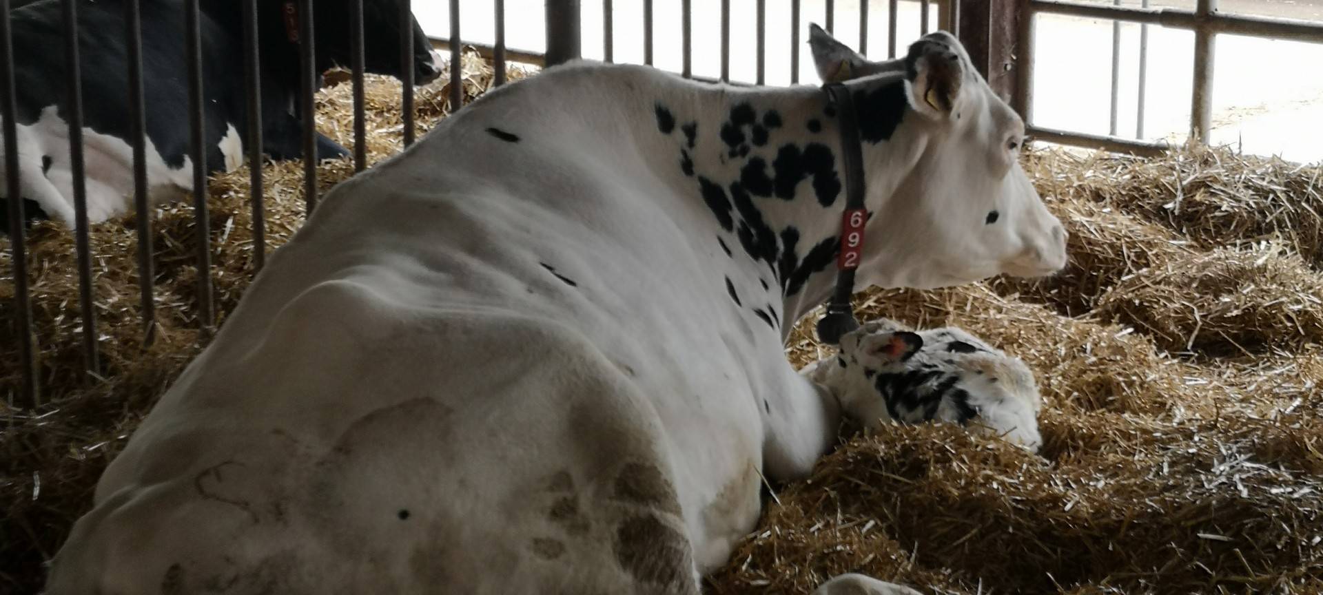 Kamp-Lintfort: Hof Anhamm als Arla-Innovationshof eingeweiht