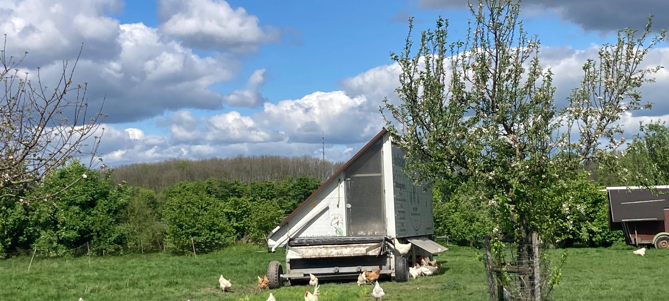 Hofläden im Kreis Wesel: Regional und lecker einkaufen