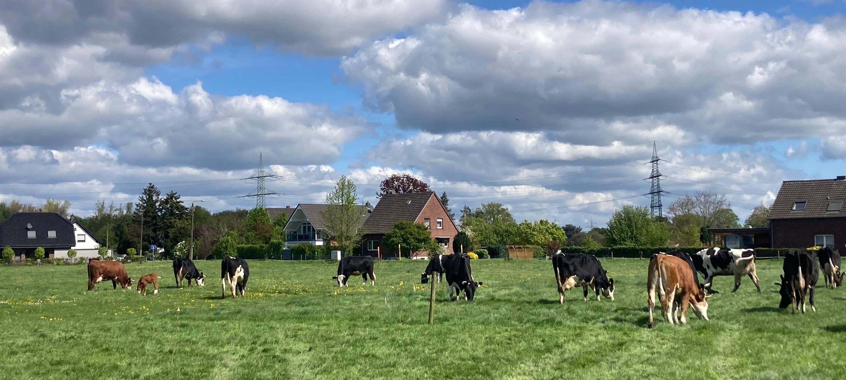 Hofläden im Kreis Wesel: Regional und lecker einkaufen