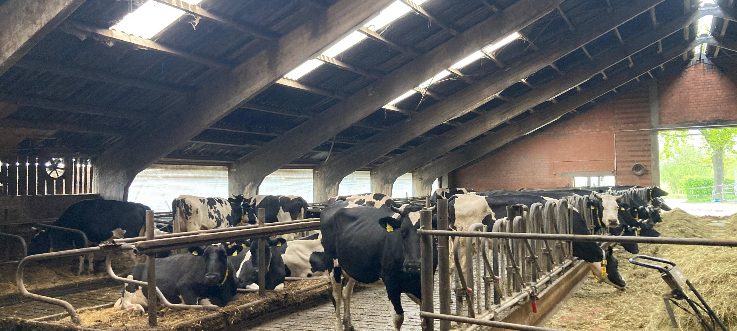 Hofläden im Kreis Wesel: Regional und lecker einkaufen