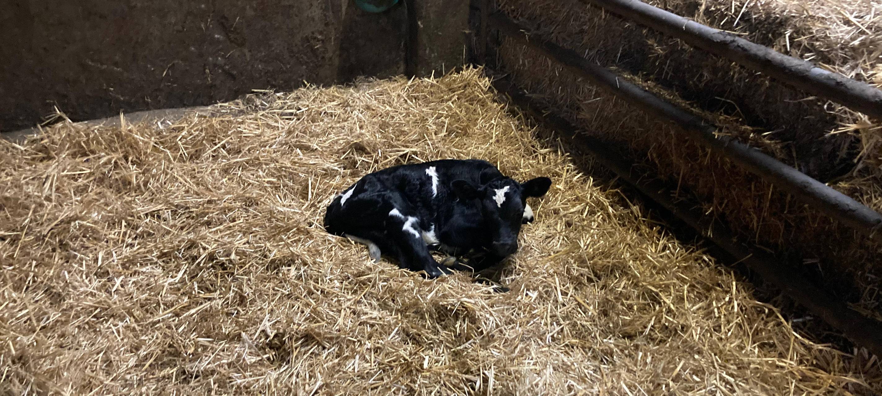 Hofläden im Kreis Wesel: Regional und lecker einkaufen