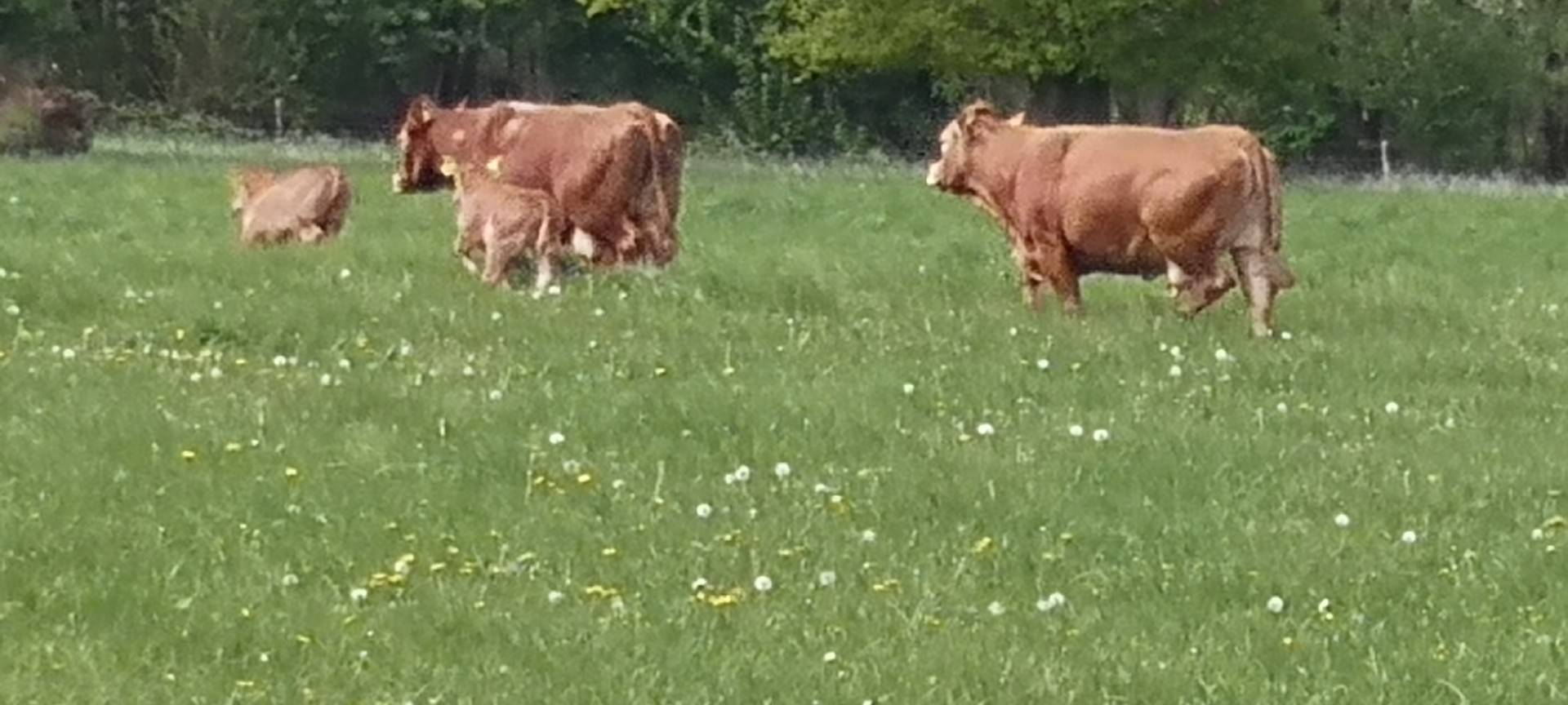 Hofladen-Serie: Der Biohof Frohnenbruch in Kamp-Lintfort