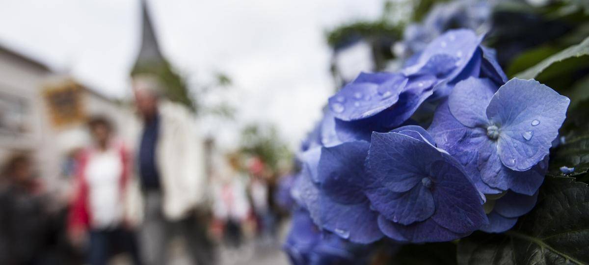 In Alpen gibt es am Sonntag Streetfood und Spargelfest