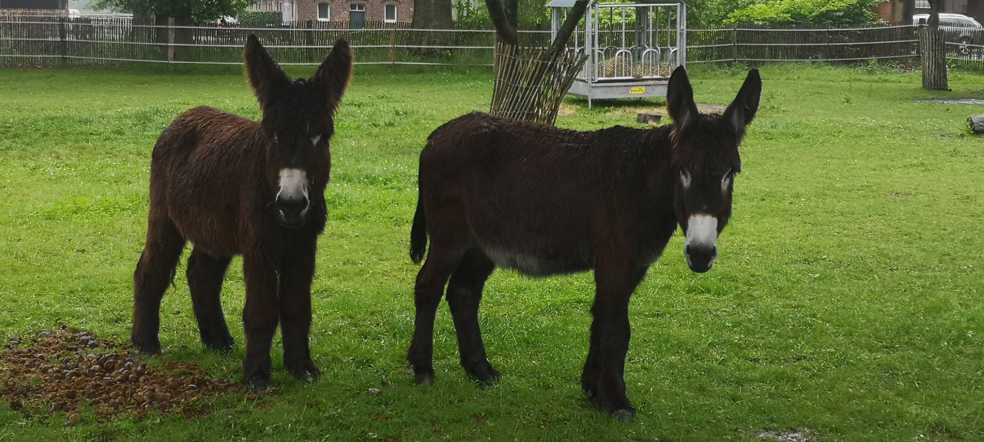 Lebens(h)ort Lühlerheim Schermbeck: Zwei Leuchtturmprojekte