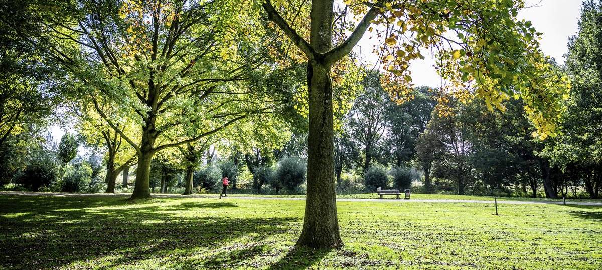 Weitere Fällung in Moers