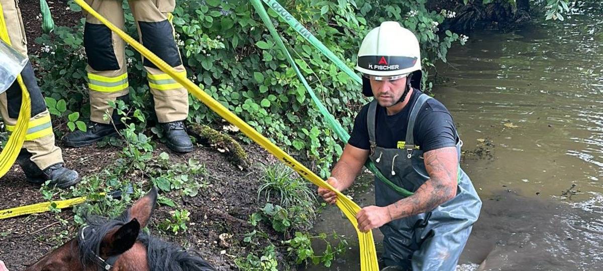 Feuerwehr aus Vluyn und Rheurdt rettet Pferd aus Wasser