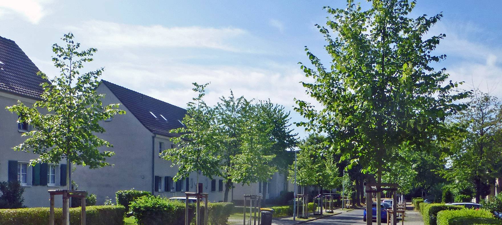 Moers pflanzt 950 Bäume