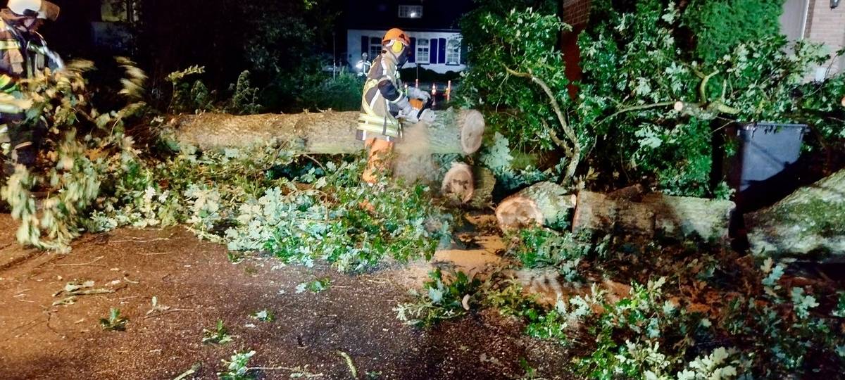 In Hünxe-Drevenack stürzte ein Baum auf ein Hausdach