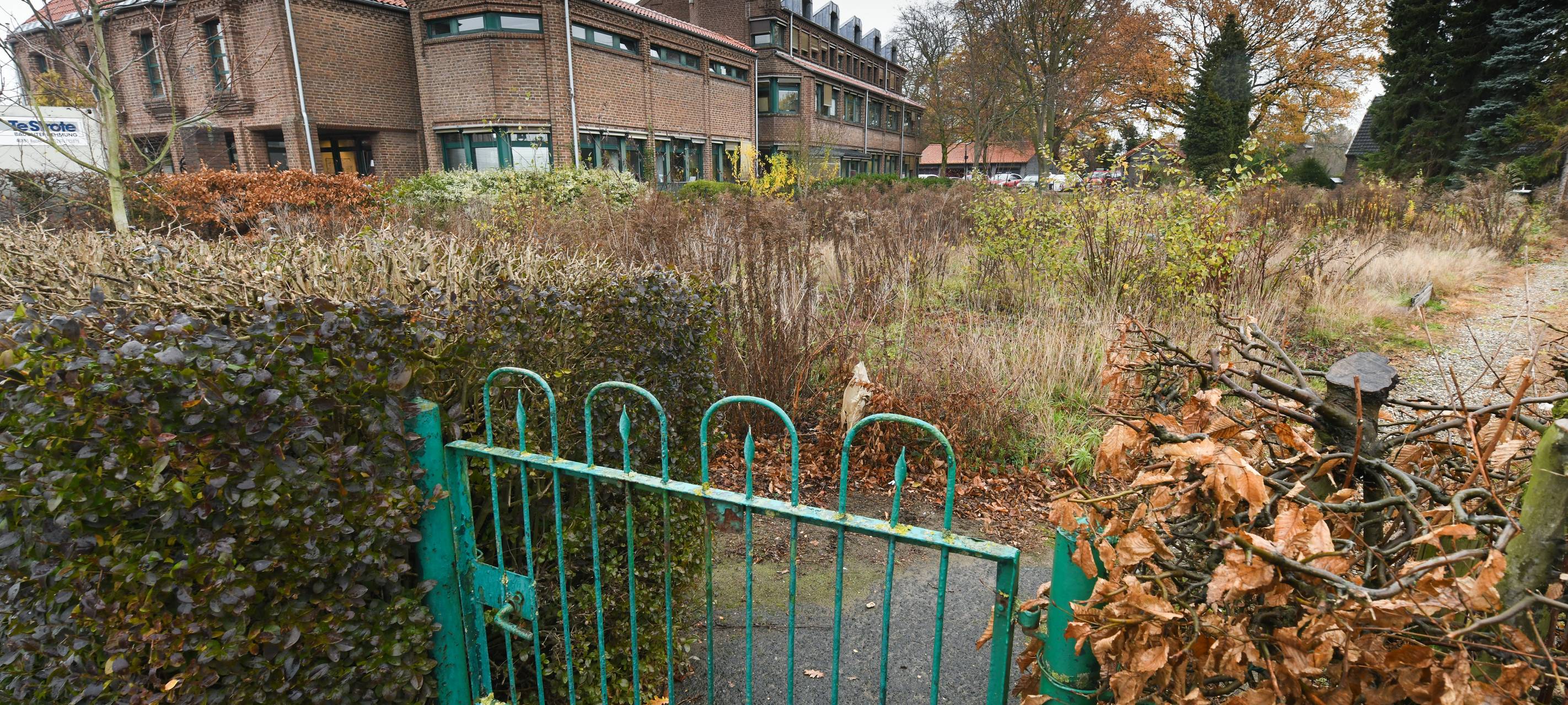 Lidl will eine neue Filiale in Hamminkeln bauen