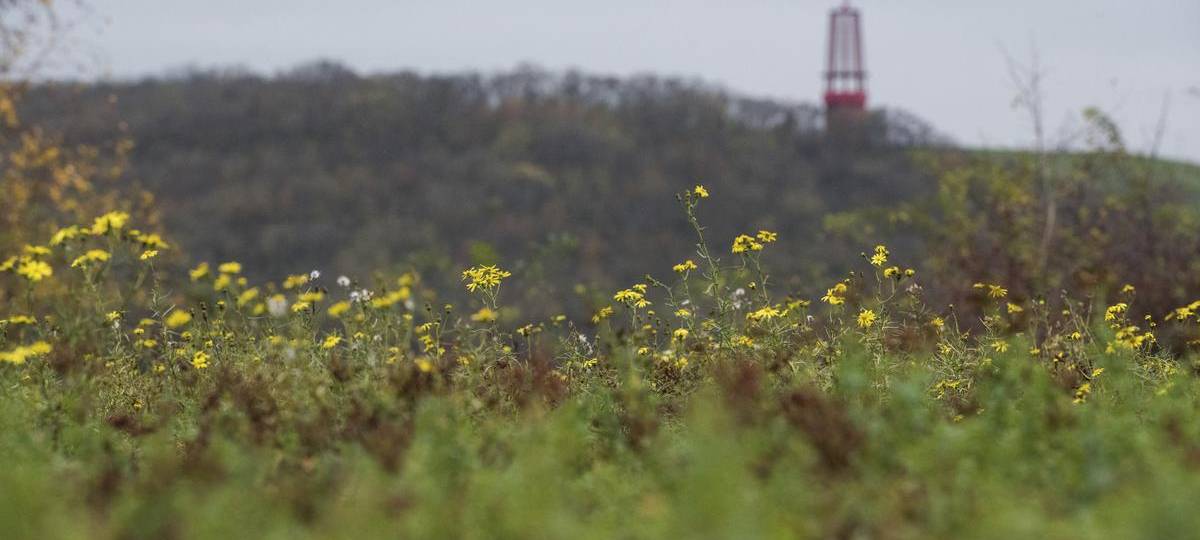 Duisburg unterstützt Moers bei Klage gegen Deponie