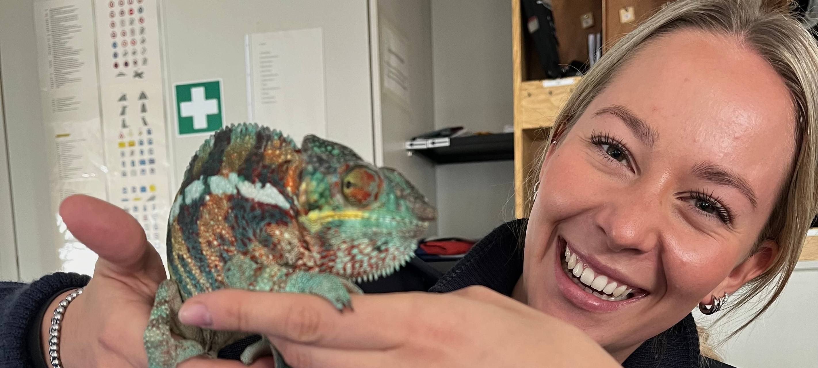 67-jähriger Duisburger findet Chamäleon in seinem Garten