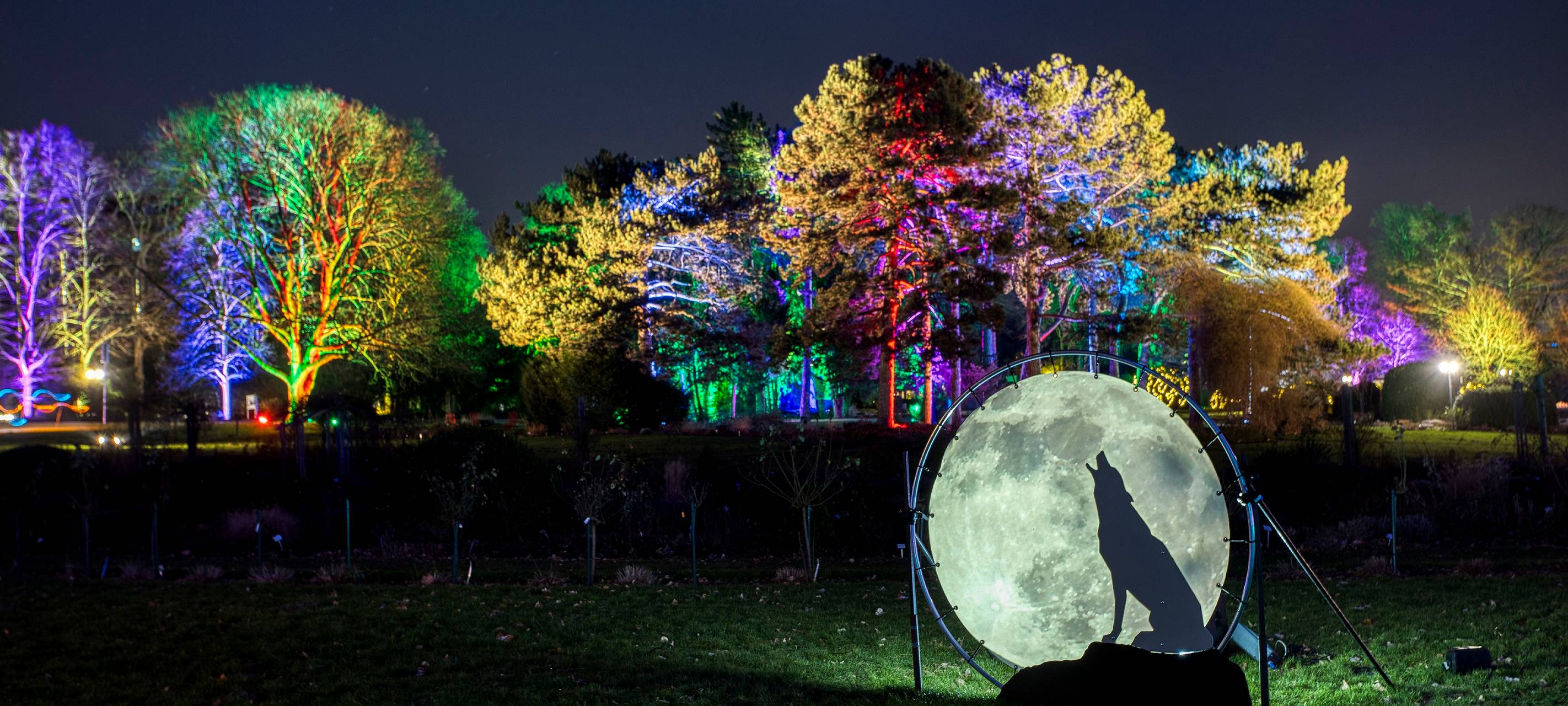 "Zoolichter" lassen Duisburger Zoo erstrahlen