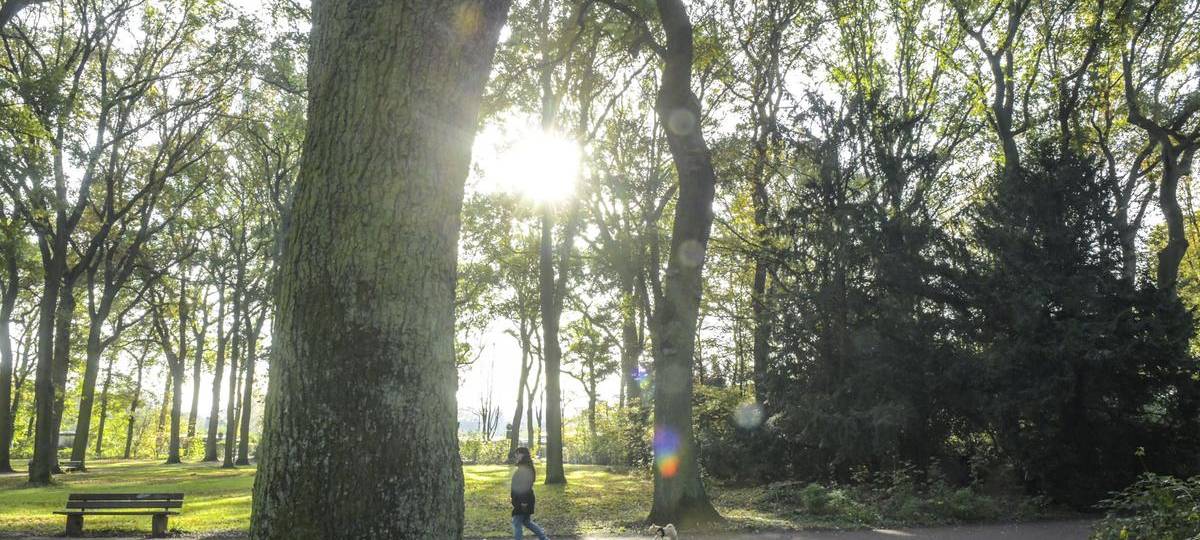 Dinslaken erhöht Sicherheit im Volkspark nach Überfällen