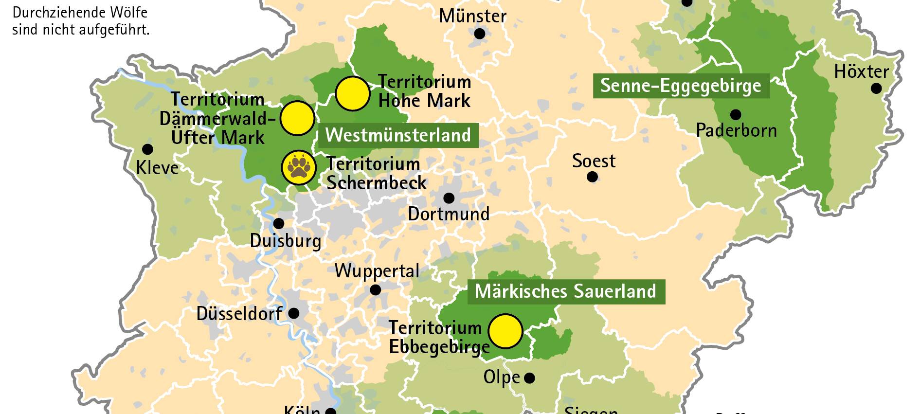 Nachwuchs im Wolfsgebiet Schermbeck gemeldet