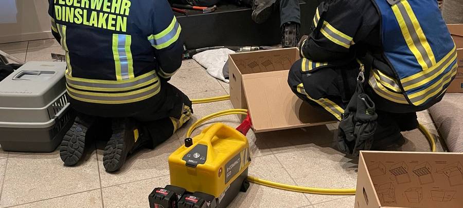 Feuerwehr befreit zwei Wildkäuze aus Kamin in Dinslaken