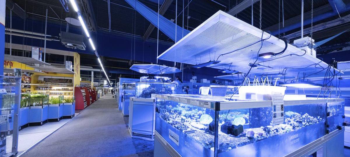 Tierhandlung "Zoo Zajac" in Duisburg hat Insolvenz beantragt