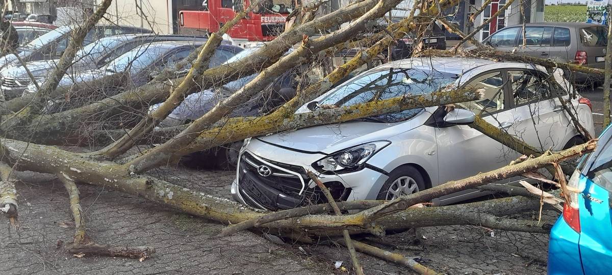 Viele Sturmeinsätze wegen umgestürzter Bäume im Kreis Wesel