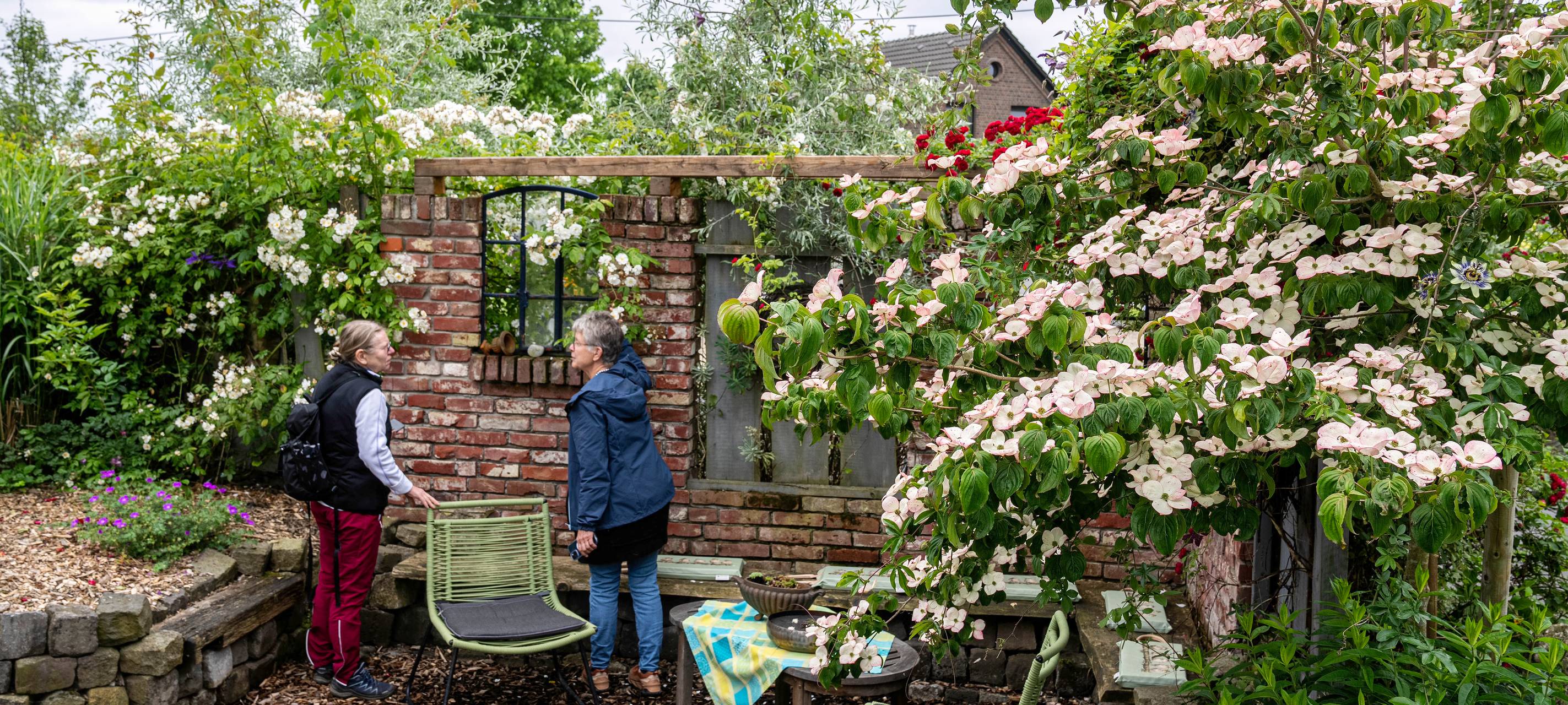 Heute ist Anmeldestart für die "Offene Gartenpforte"