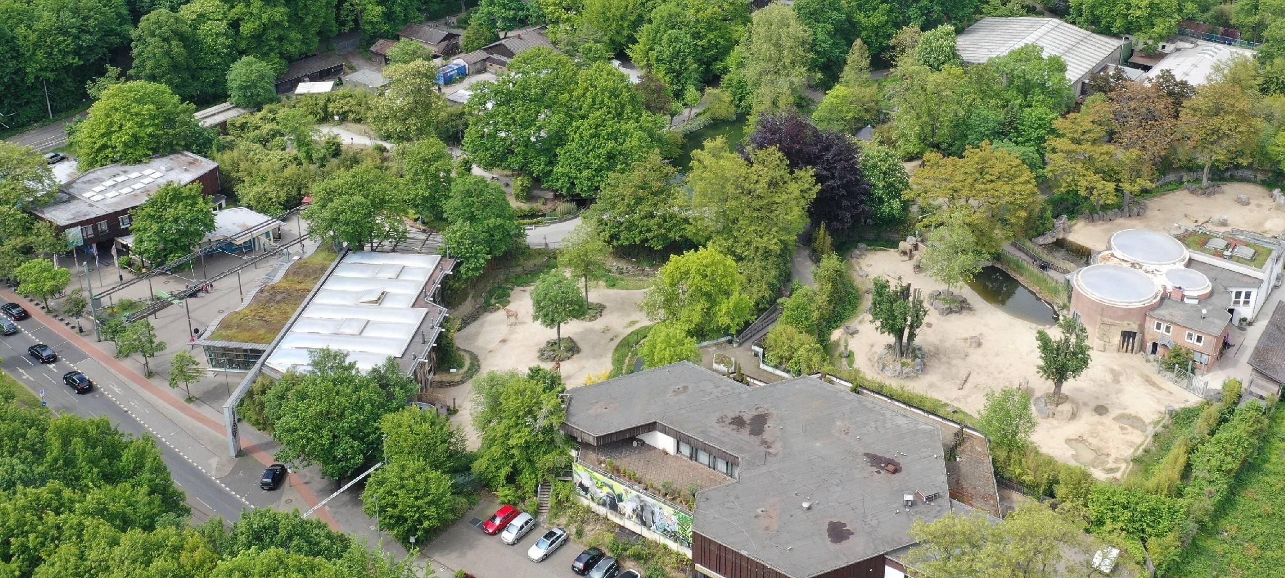 Duisburg Zoo investiert in neue Terrasse und Savannenanlage