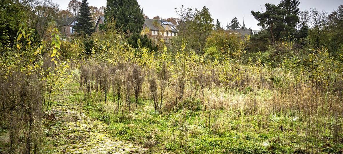 Pläne für neues Wohngebiet in Kamp-Lintfort liegen aus