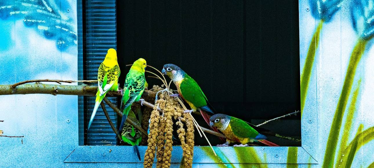 Der Kamp-Lintforter Kalisto-Tierpark wurde anonym angezeigt