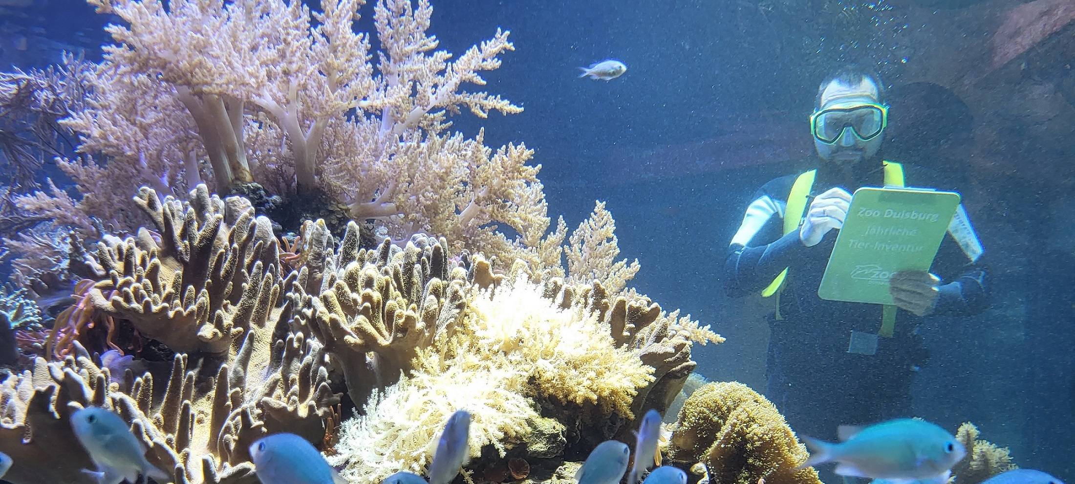 Inventur im Duisburger Zoo - über 4900 Tiere gezählt