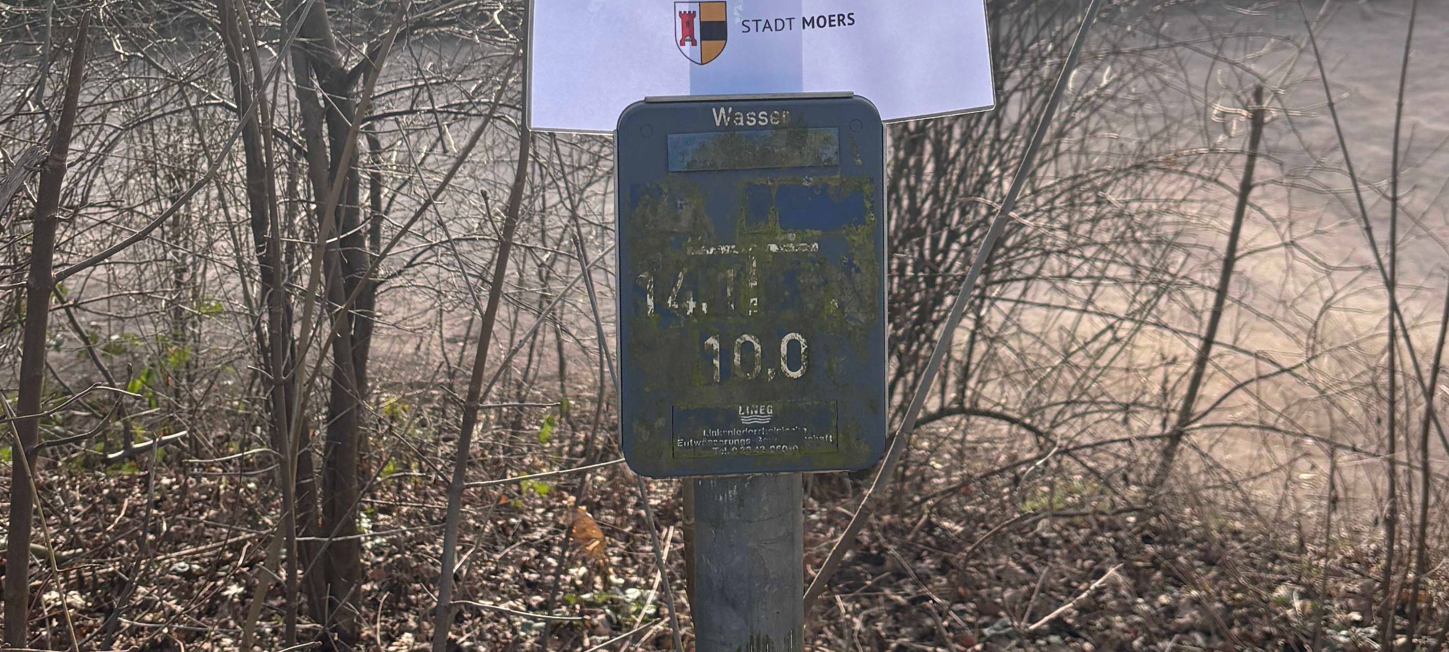 Illegal verstreutes Rattengift am Moerser Waldsee gefunden