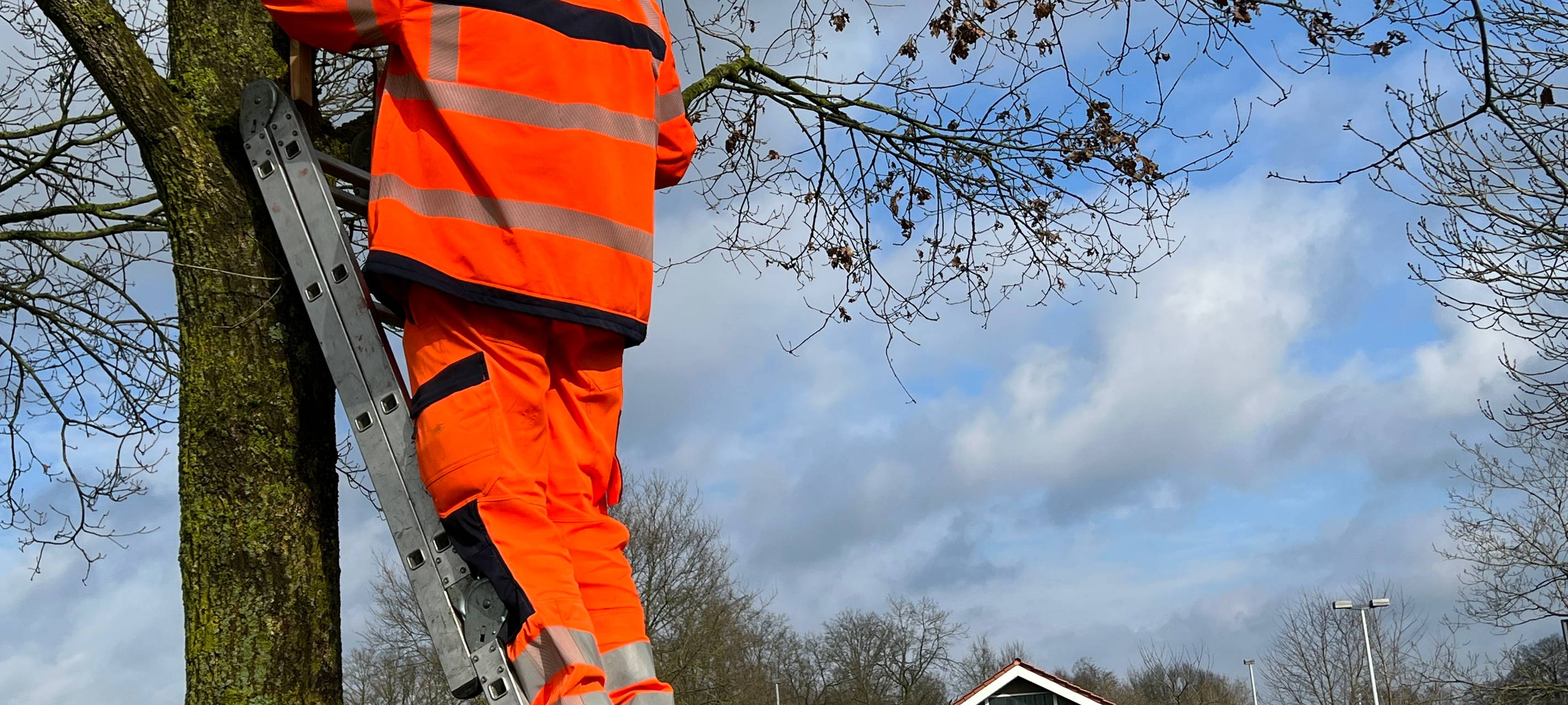 20 Vogelhäuschen an A31 gegen den Eichenprozessionsspinner