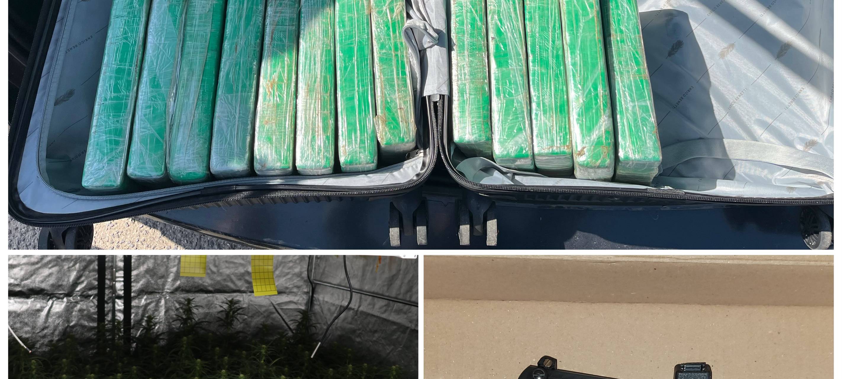 Razzia gegen Drogenbande: Vier Festnahmen und Drogen sichergestellt