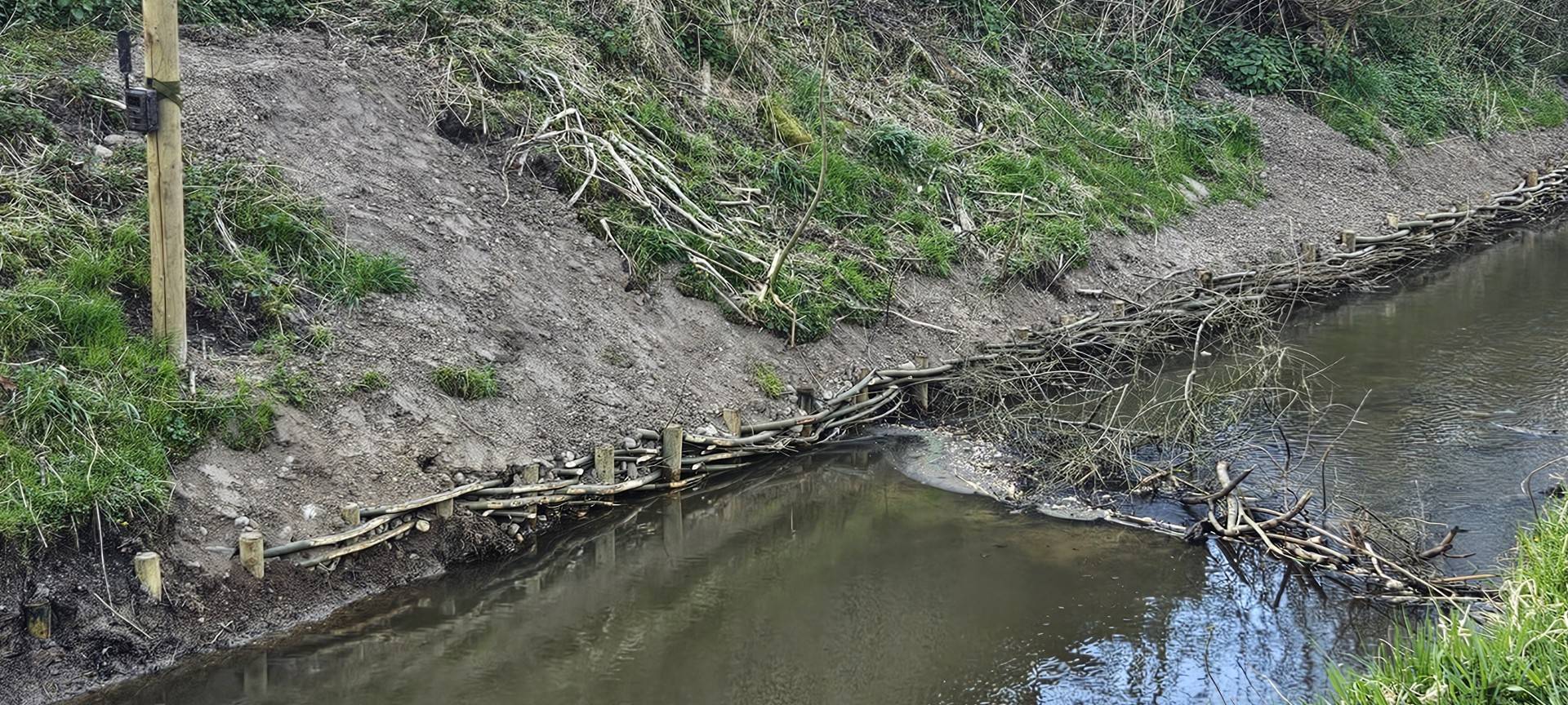 Sonsbeck: Biber-Monitoring wird ausgeweitet