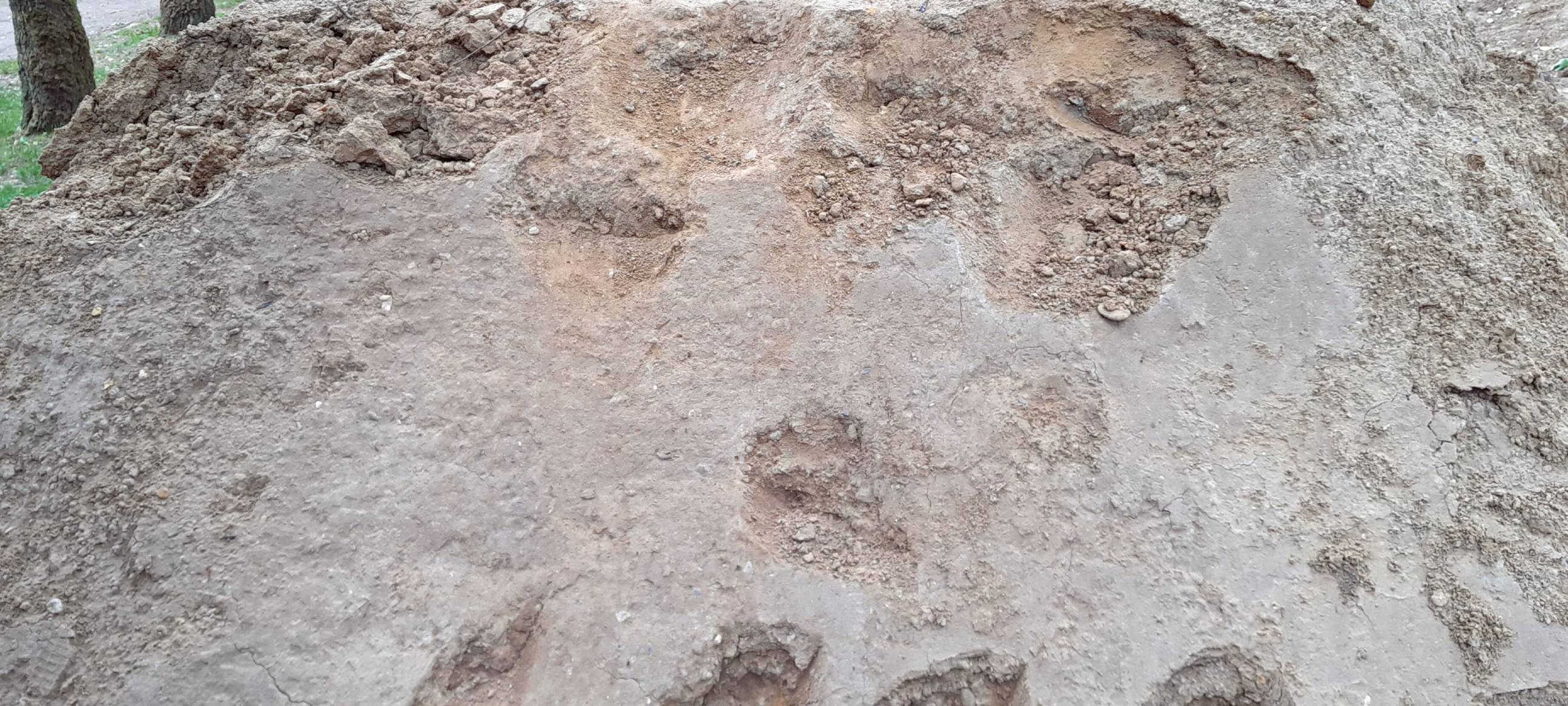 BBQ-Trails in Moers nach Vandalismus gesperrt