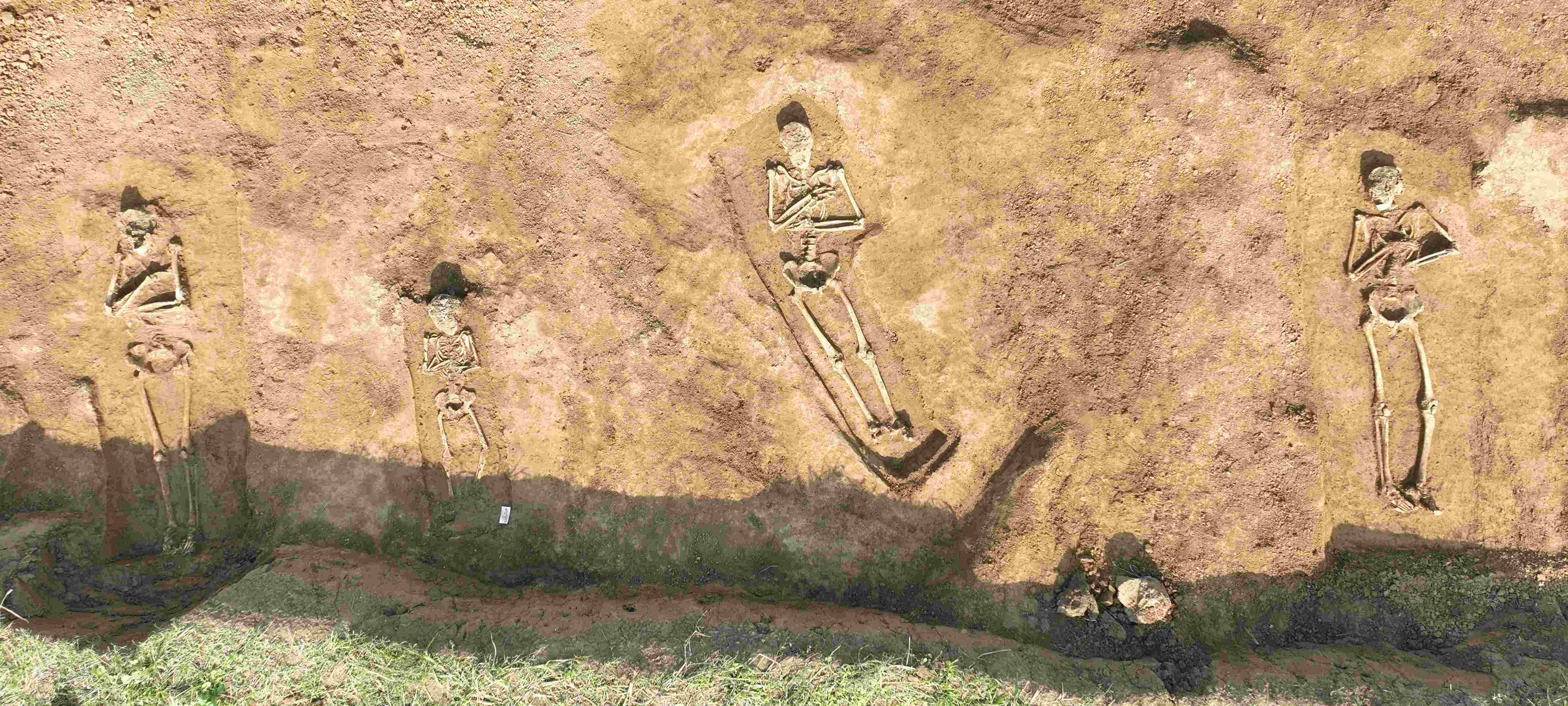 Fund von 15 Skeletten auf Amprion-Baustelle in Rees-Haffen