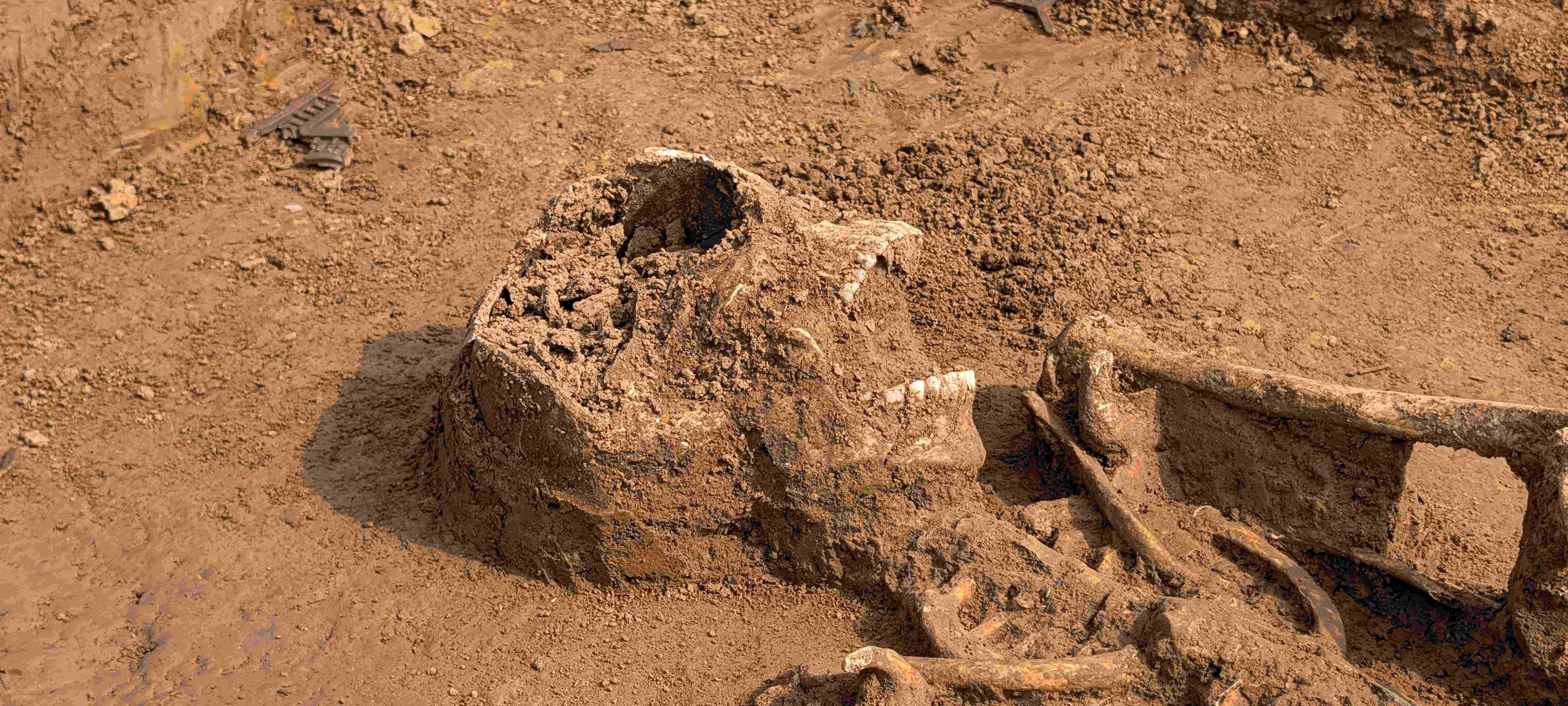 Fund von 15 Skeletten auf Amprion-Baustelle in Rees-Haffen