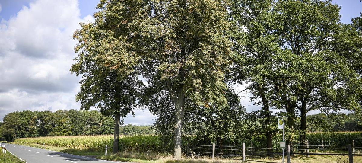 In Hünxe wird der Sternweg bald rund einen Monat gesperrt