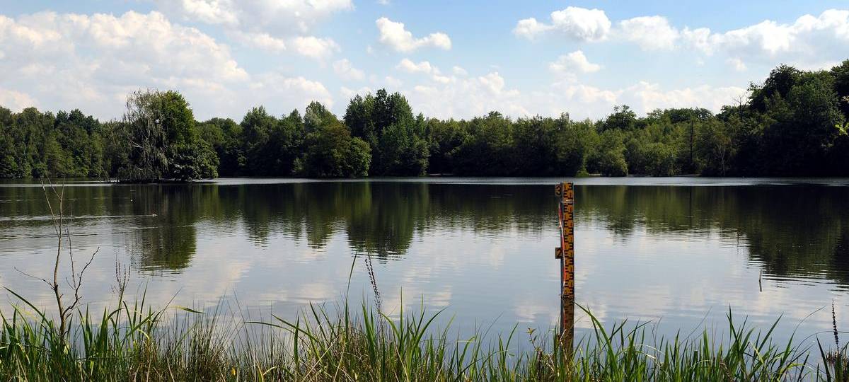 Vorsorge gegen Fischesterben im Dinslakener Rotbachsee