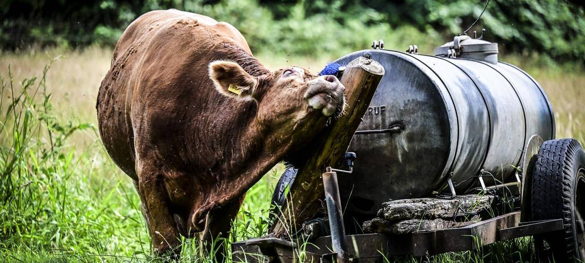 BioWochen NRW starten mit vielen Aktionen am Niederrhein