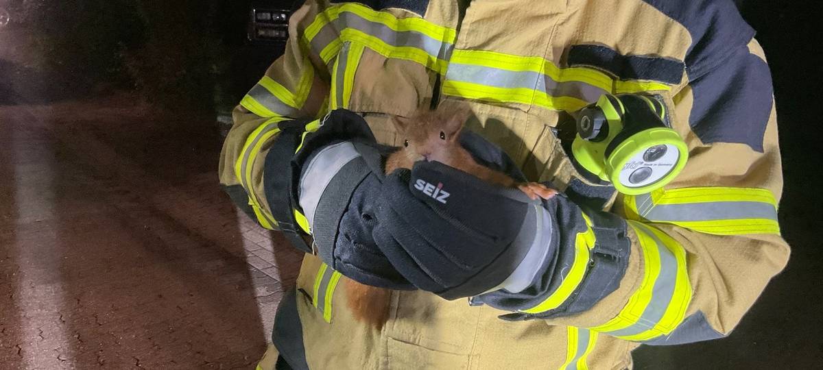 Feuerwehr in Alpen rettet hilfloses Eichhörnchen vom Dach