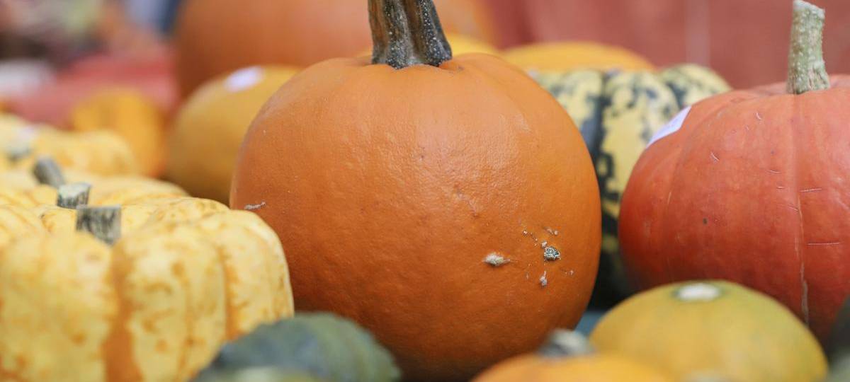 Alpen feiert das größte Herbstfest seit Jahren