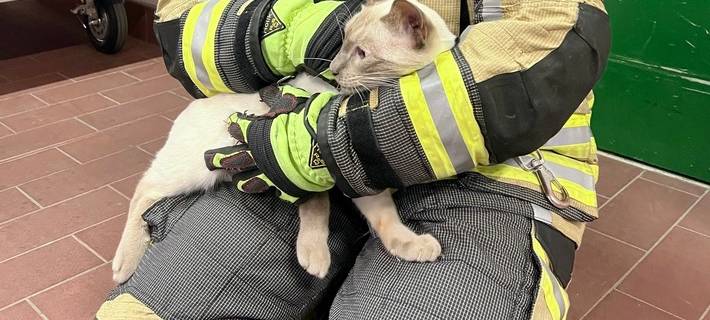 Kater Carlos aus Schleusenkammer in Hünxe gerettet